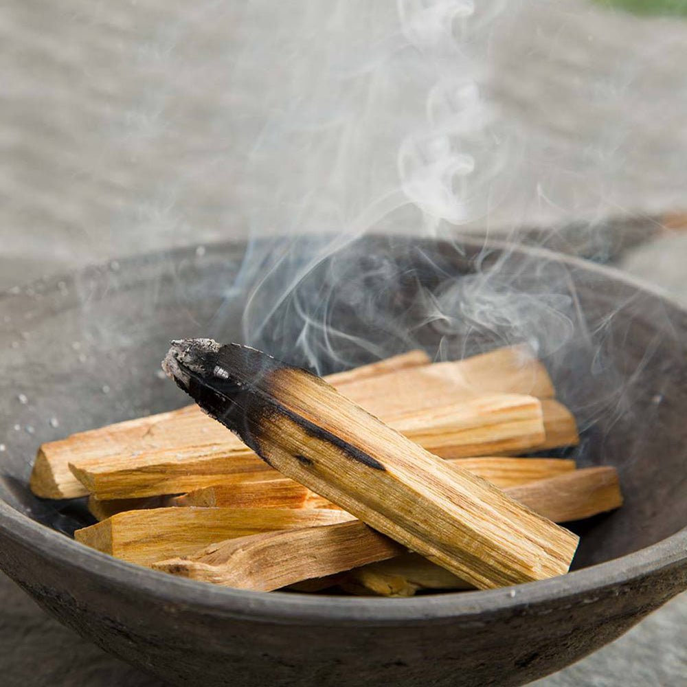50g Palo Santo Arbre Vert 5 - 8 Bâtonnets - Nayana Om Boutique