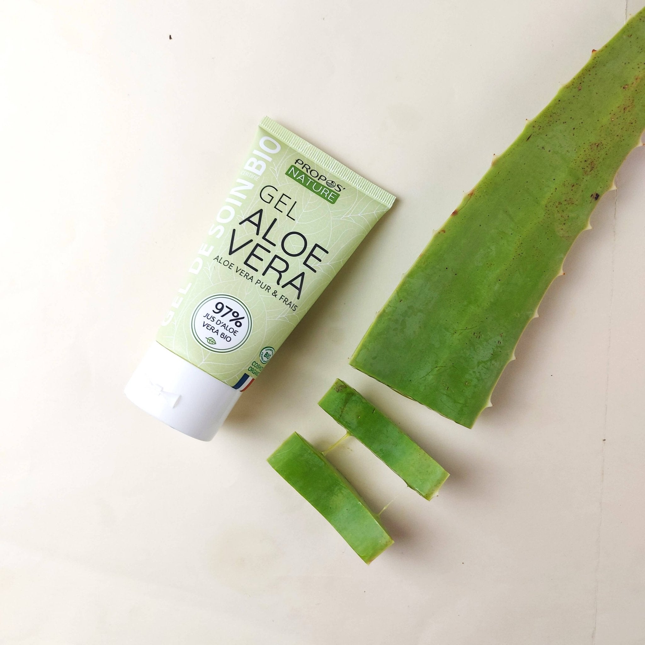 Gel Natif d’Aloe Vera Bio – Hydratation, Éclat & Réparation - Nayana Om Boutique