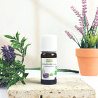 Huile essentielle de Lavande Vraie Bio – Sérénité, Sommeil & Harmonie - Nayana Om Boutique