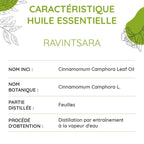 Huile essentielle de Ravintsara Bio – Vitalité, Clarté & Harmonie - Nayana Om Boutique