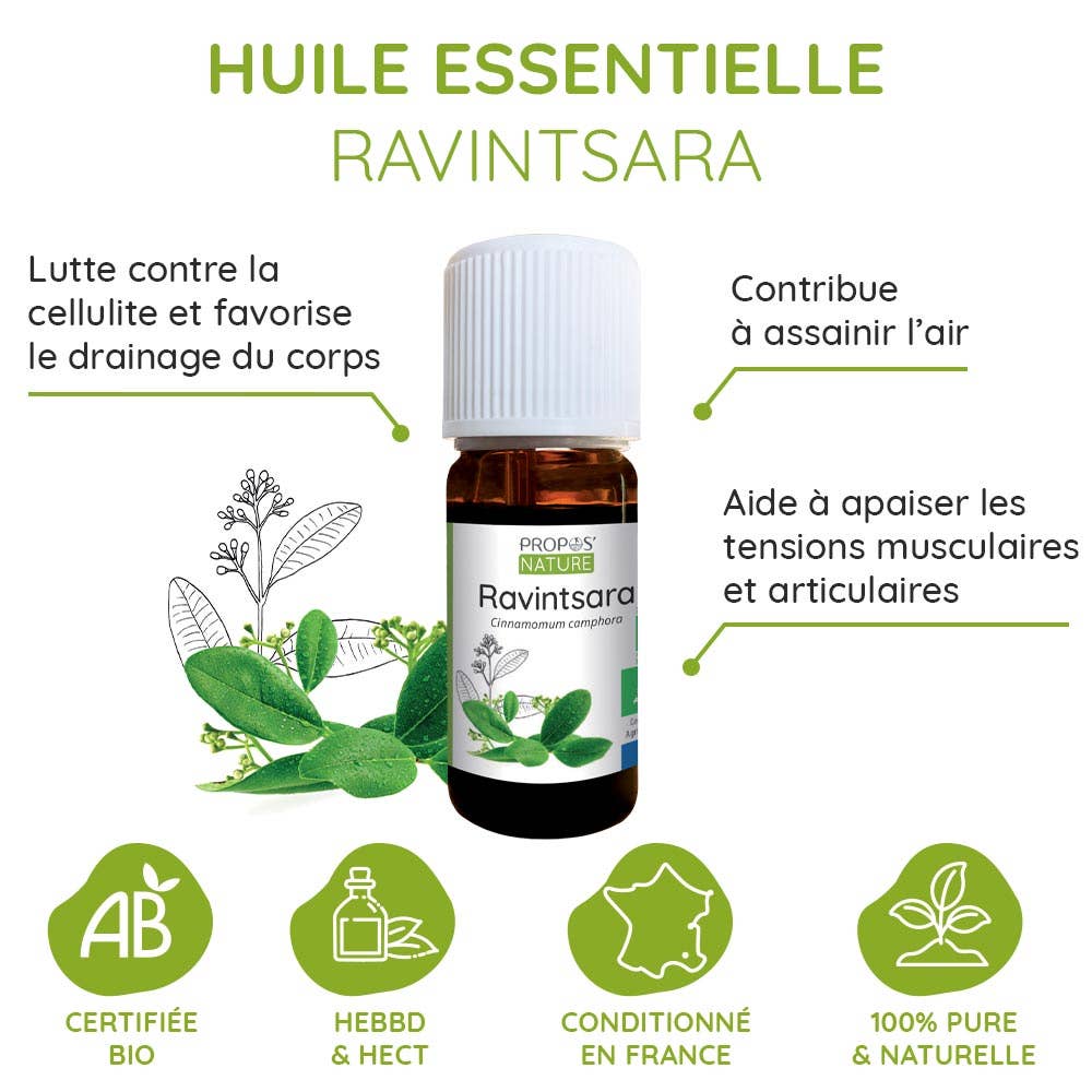 Huile essentielle de Ravintsara Bio – Vitalité, Clarté & Harmonie - Nayana Om Boutique