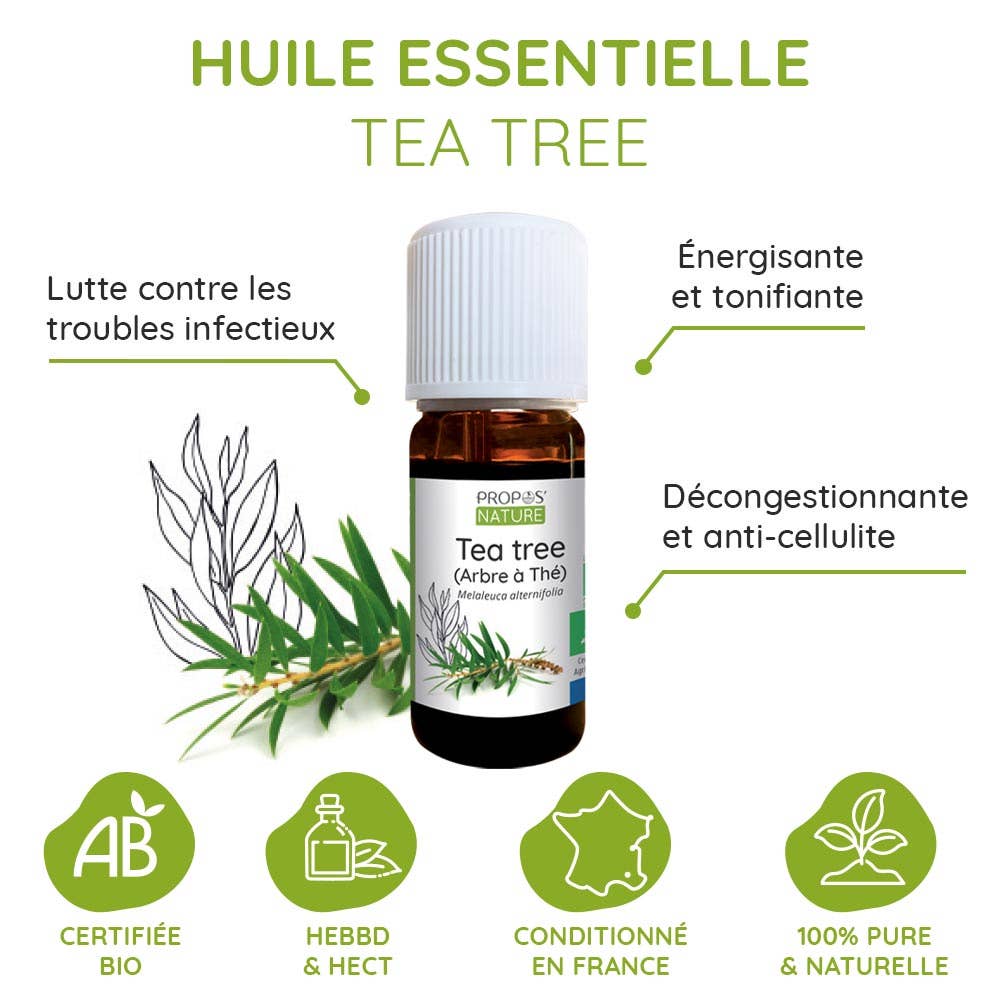 Huile essentielle de Tea Tree Bio – Pureté, Défense & Énergie claire - Nayana Om Boutique