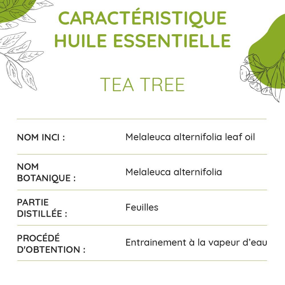 Huile essentielle de Tea Tree Bio – Pureté, Défense & Énergie claire - Nayana Om Boutique