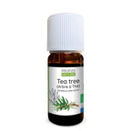Huile essentielle de Tea Tree Bio – Pureté, Défense & Énergie claire - Nayana Om Boutique